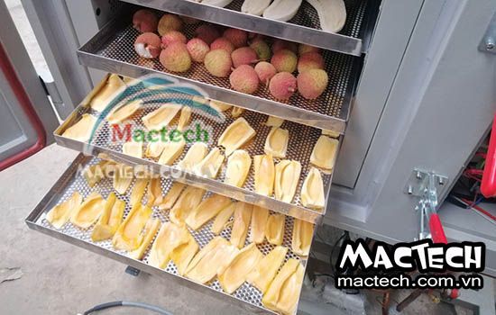 Máy sấy lạnh mít Mactech