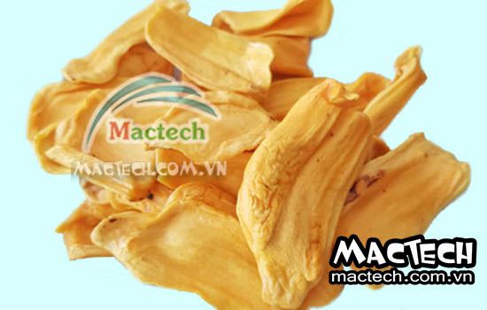 Mít sấy lạnh có giòn được không? Phân tích từ Mactech Việt Nam