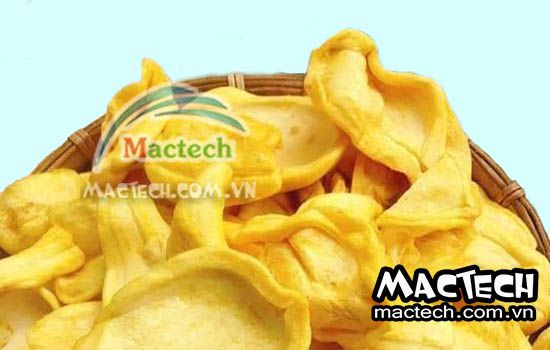 Mít sấy lạnh có giòn được không? Phân tích từ Mactech Việt Nam