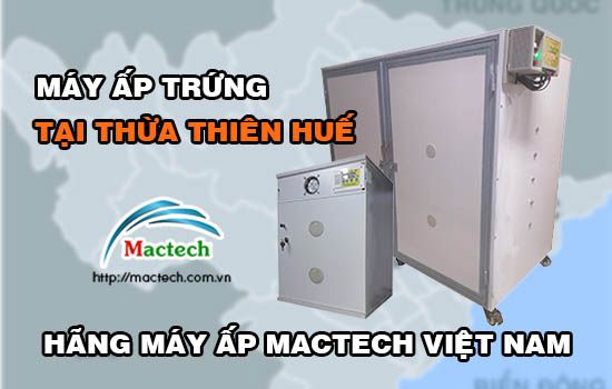 Bán máy ấp trứng tại Huế, chuyển hàng nhanh qua xe khách, thanh toán linh hoạt