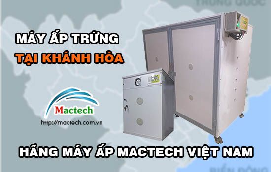 Bán máy ấp trứng tại Khánh Hòa chất lượng tốt, độ bền cao, nở trên 85%