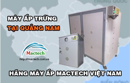 Bán máy ấp trứng tại Quảng Nam, ấp nở ổn định, tỉ lệ nở trên 85%