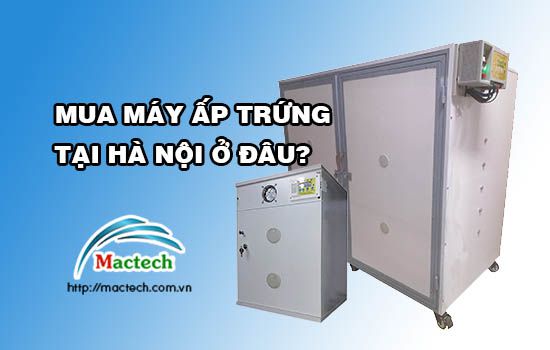 Mua máy ấp trứng tại Hà Nội