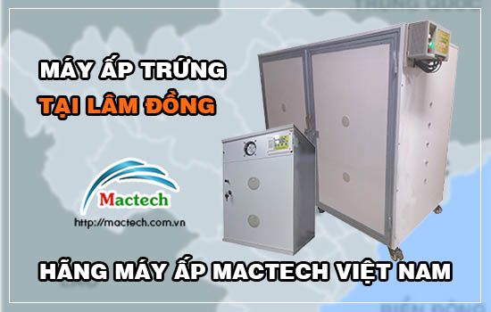 Bán máy ấp trứng tại Lâm Đồng, ấp nở đều, tỉ lệ nở cao trên 85%