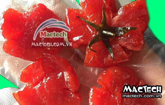 Máy sấy mứt cà chua Mactech, sấy khô đẹp, tiết kiệm điện năng
