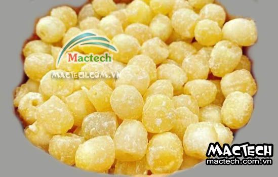 Máy sấy mứt hạt sen Mactech, sấy khô nhanh, giữ màu, giữ vị của hạt sen