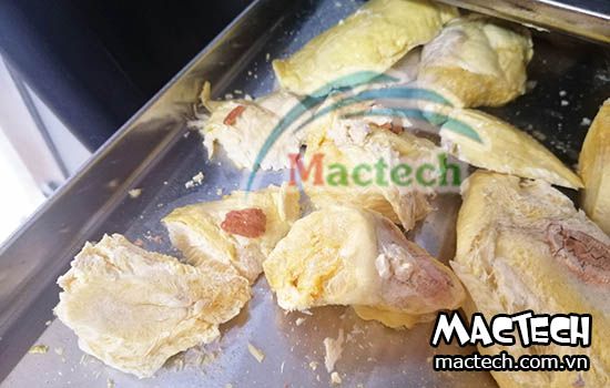 Máy sấy sầu riêng Mactech