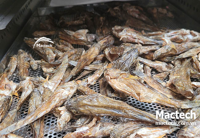 Máy sấy cá khô ăn liền Mactech