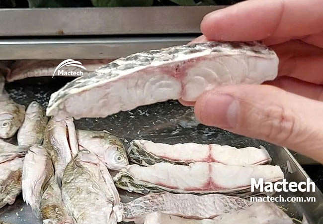 Cá rô phi sấy thăng hoa - giải pháp chế biến thủy sản mới