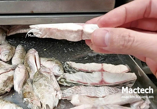 Cá rô phi sấy thăng hoa - giải pháp chế biến thủy sản mới