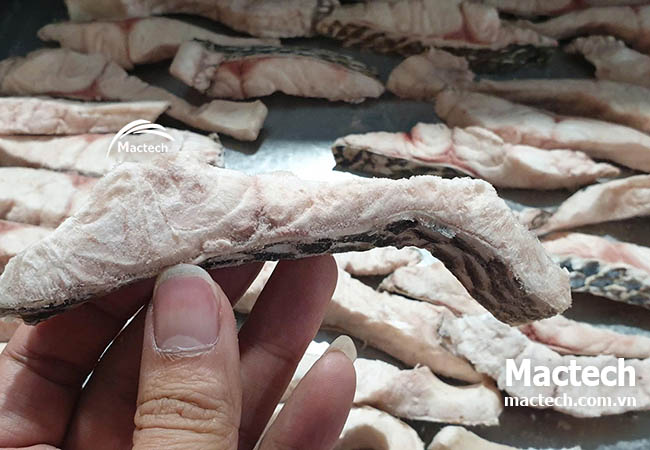 Cá rô phi sấy thăng hoa - giải pháp chế biến thủy sản mới