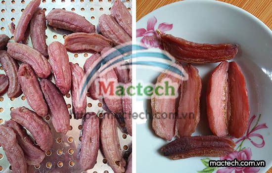 Máy sấy chuối mini Mactech, sấy giòn, sấy khô, sấy dẻo 10kg chuối mỗi lần