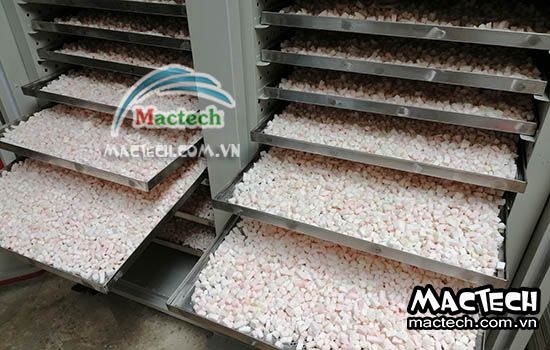 Nhiệt độ sấy cùi bưởi bao nhiêu, tham khảo thông số sấy từ Mactech