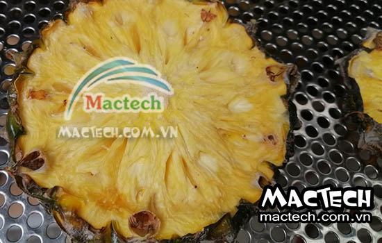 Máy sấy dứa thăng hoa Mactech, sấy đông khô cao cấp hiện đại