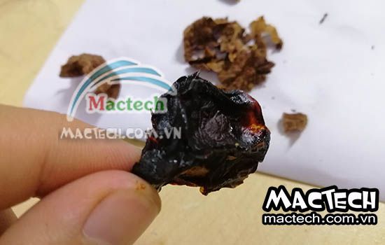 Long vải sấy bị đen, bị đắng