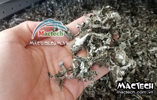 Lá gai có nên sấy thăng hoa hay không, lời khuyên từ Mactech