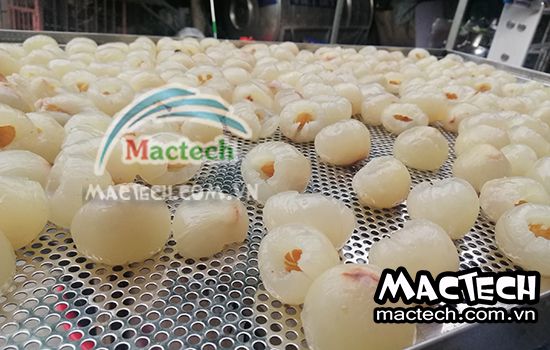 Nhiệt độ và thời gian sấy long vải bằng máy sấy Mactech