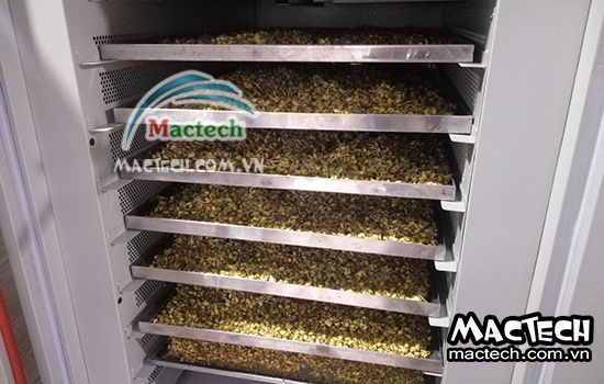 Sấy mầm đậu nành nên chọn loại máy sấy nào cho phù hợp