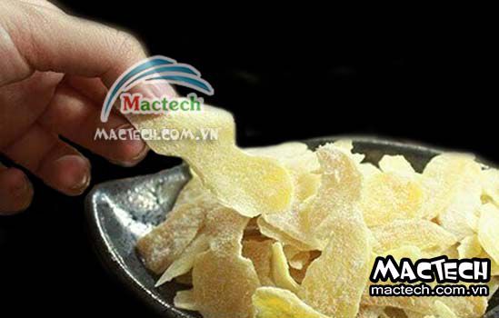 Máy sấy lạnh mứt gừng, sấy mứt gừng chất lượng cao