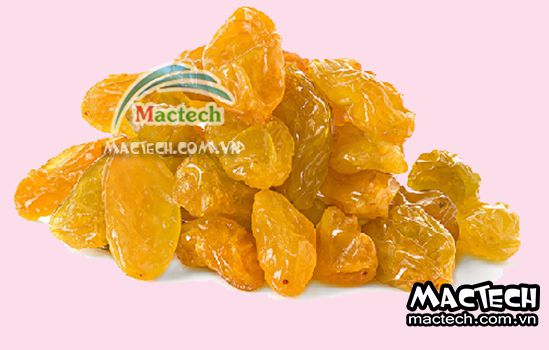 Máy sấy lạnh nho khô Mactech, sấy nho khô chất lượng cao