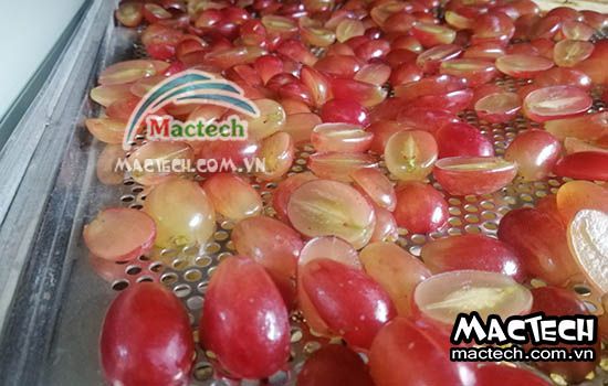 Sấy nho khô chọn máy sấy loại nào cho phù hợp