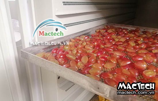 Thời gian sấy nho khô bằng máy sấy lạnh, máy sấy nhiệt, máy thăng hoa