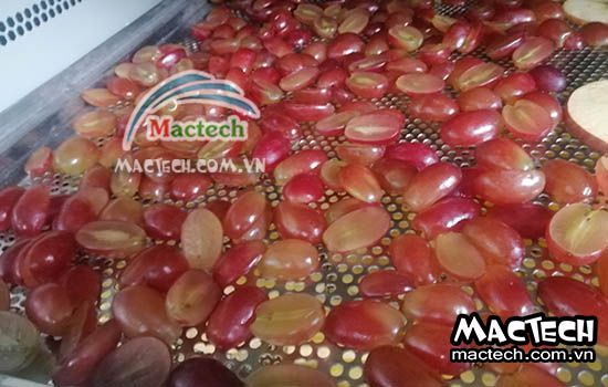 Nhiệt độ sấy nho khô bằng máy sấy bao nhiêu để sấy nhanh khô
