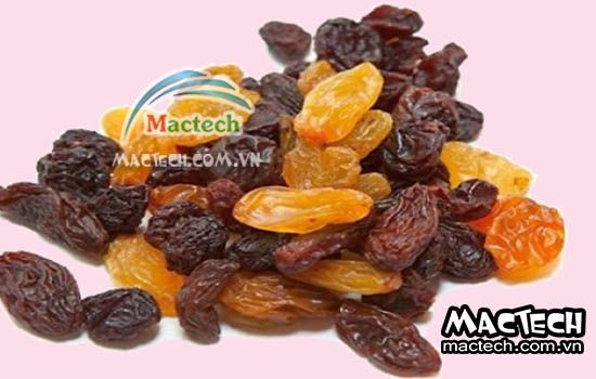 Máy sấy lạnh nho khô Mactech, sấy nho khô chất lượng cao