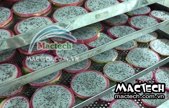 Nhiệt độ sấy thanh long và thời gian sấy thanh long phù hợp
