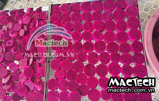 Phân biệt cách làm thanh long sấy giòn và thanh long sấy dẻo