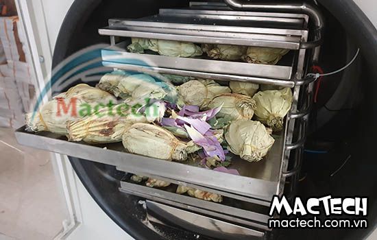 Máy sấy thăng hoa có tốn điện không