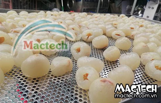 Sấy vải khô nguyên quả, sấy long vải bằng máy sấy Mactech