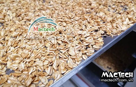 Phân biệt yến mạch sấy giòn và yến mạch chiên giòn, loại nào ngon hơn