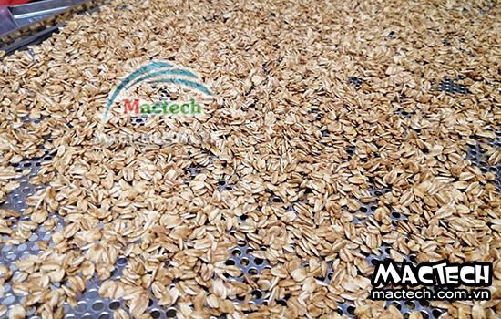 Phân biệt yến mạch sấy giòn và yến mạch chiên giòn, loại nào ngon hơn