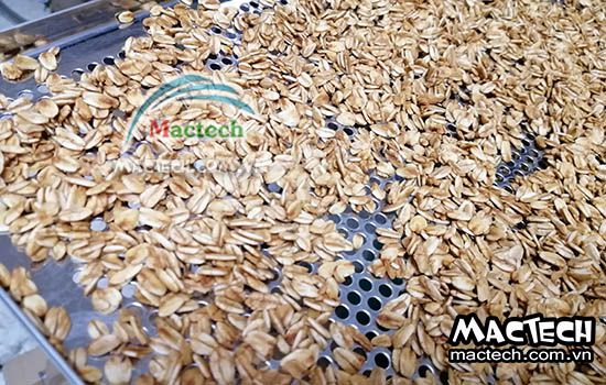 Nhiệt độ rang sấy yến mạch bằng máy sấy nhiệt độ cao Mactech