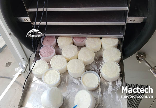 Sữa chua sấy thăng hoa