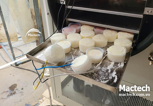 Sữa chua sấy thăng hoa