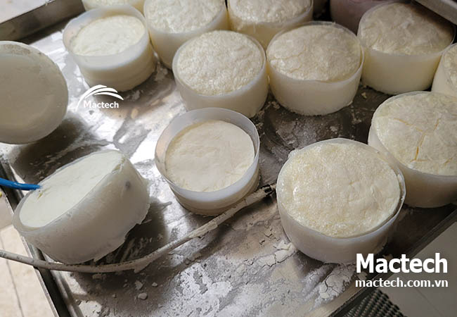 Sữa chua sấy thăng hoa