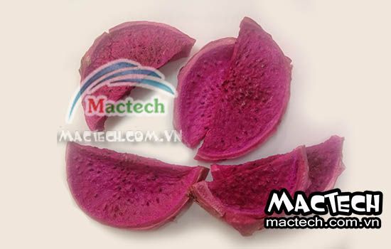 Máy sấy lạnh thanh long Mactech, sấy dẻo giữ màu đẹp tự nhiên