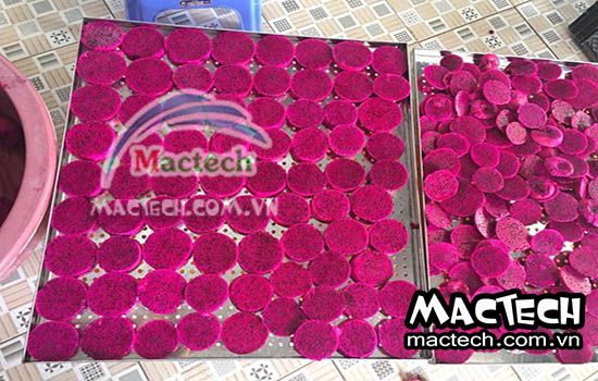 Máy sấy lạnh thanh long Mactech, sấy dẻo giữ màu đẹp tự nhiên