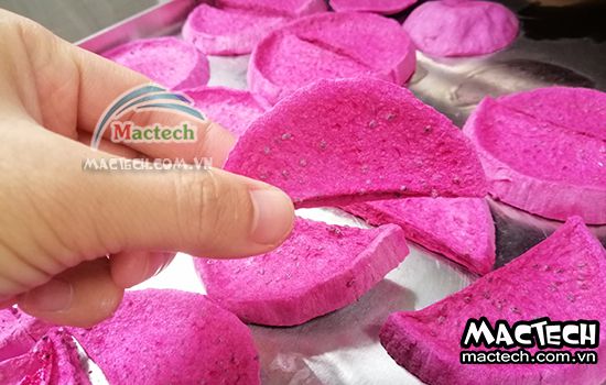 Máy sấy thăng hoa thanh long Mactech, sấy khô ăn liền cao cấp