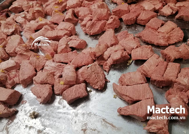 Máy sấy thăng hoa thịt bò Mactech