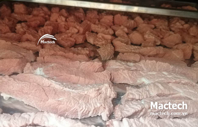 Máy sấy thăng hoa thịt bò Mactech