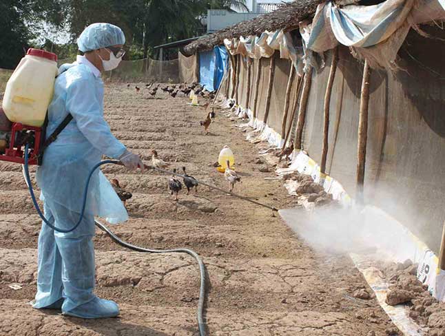 Công nghệ 11, Vệ sinh chuồng trại, dụng cụ và phương tiện chăn nuôi
