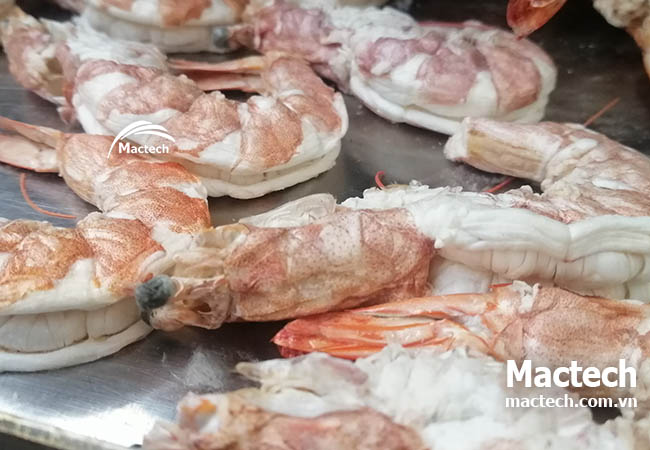 Cách chọn máy sấy tôm thăng hoa phù hợp cho cơ sở sản xuất