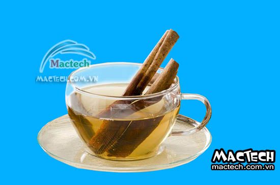 Máy sấy trà quế Mactech