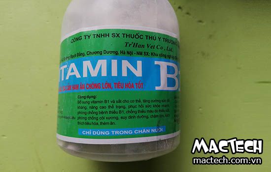 Thuốc B1 cho gà có tác dụng gì? Vitamin B1 cho gà là loại nào