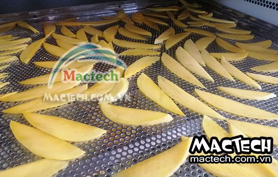 Máy sấy lạnh xoài Mactech, sấy bằng không khí khô mát cho chất lượng tốt