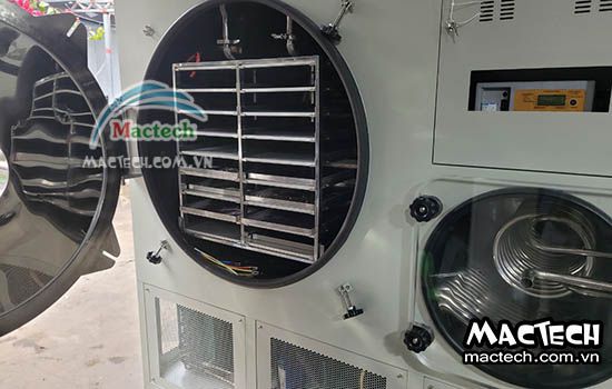 Máy sấy thăng hoa công nghiệp Mactech