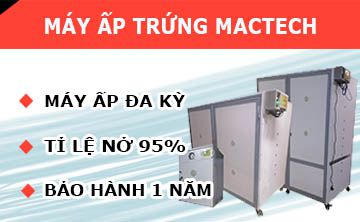 Công ty Cổ Phần Công Nghệ MacTech Việt Nam